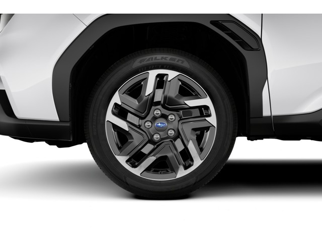 Forester Limited